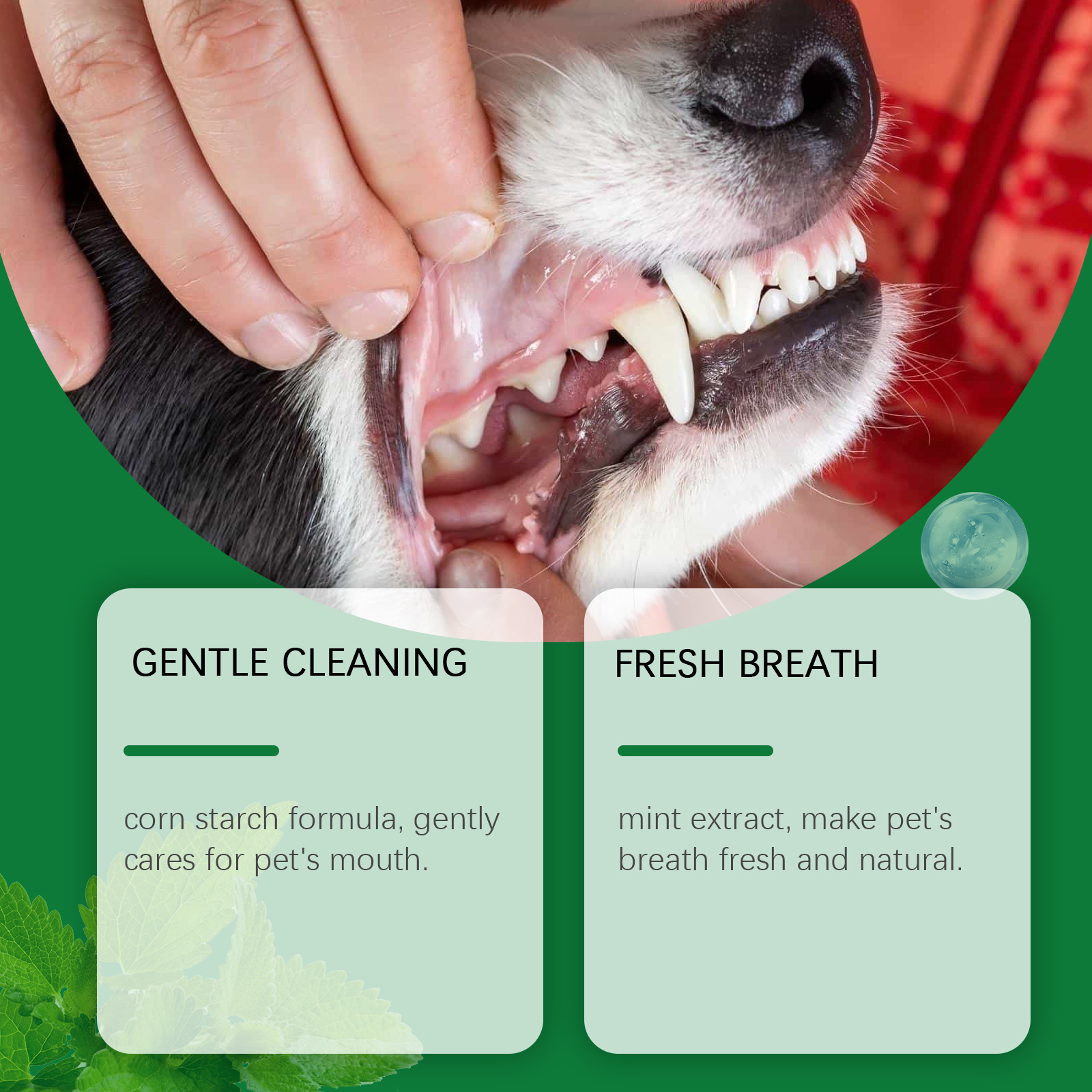 Pet Teeth Cleaning Powder Redu - Teeth Whitening Street recensie en prijs