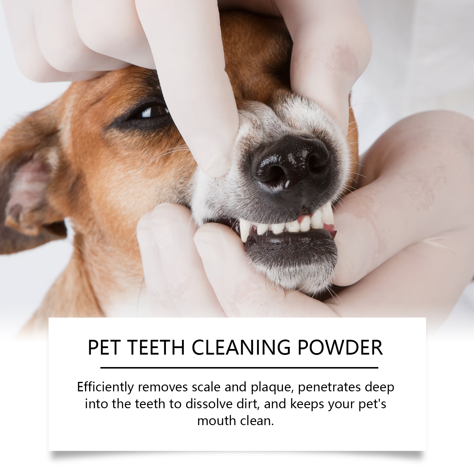 Pet Teeth Cleaning Powder Redu - Teeth Whitening Street recensie en prijs