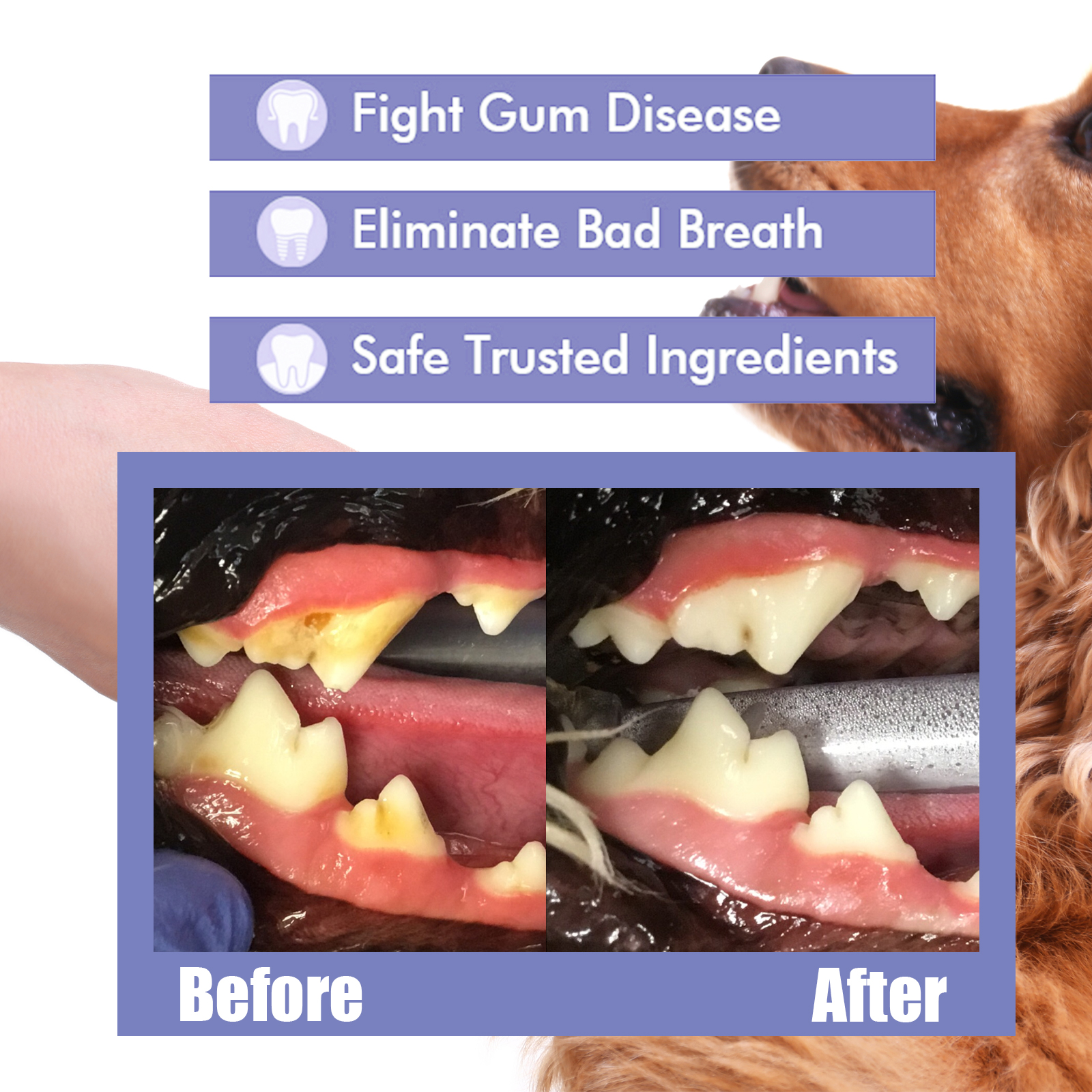 Pet Teeth Cleaning Spray Bad B - Colgate Whitening Teeth recensie en prijs