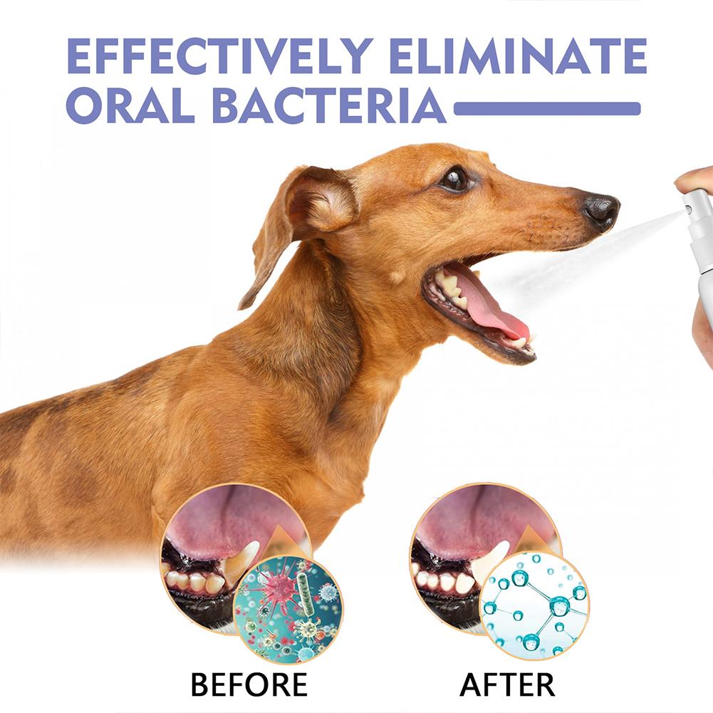 Pet Oral Cleaning Spray Mouth  - Colgate Whitening Teeth recensie en prijs